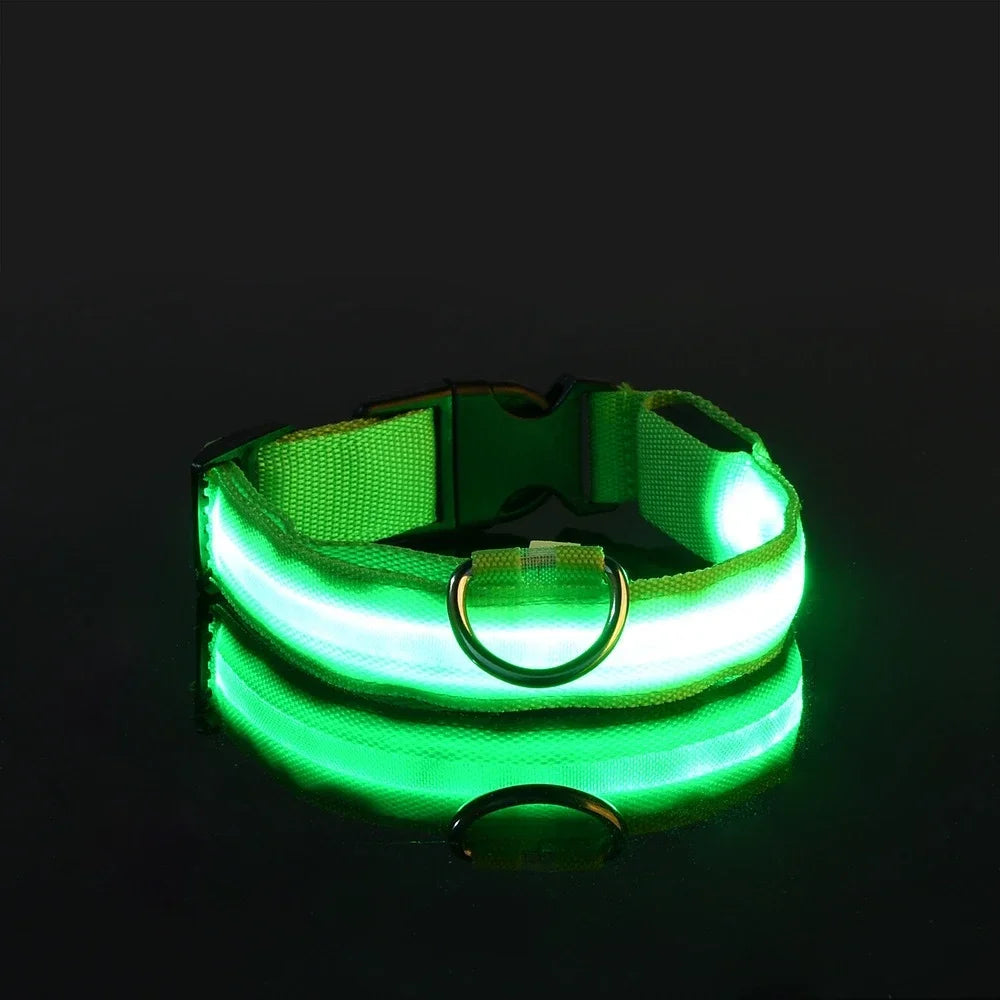Night Safety LED Glow Pet Collar