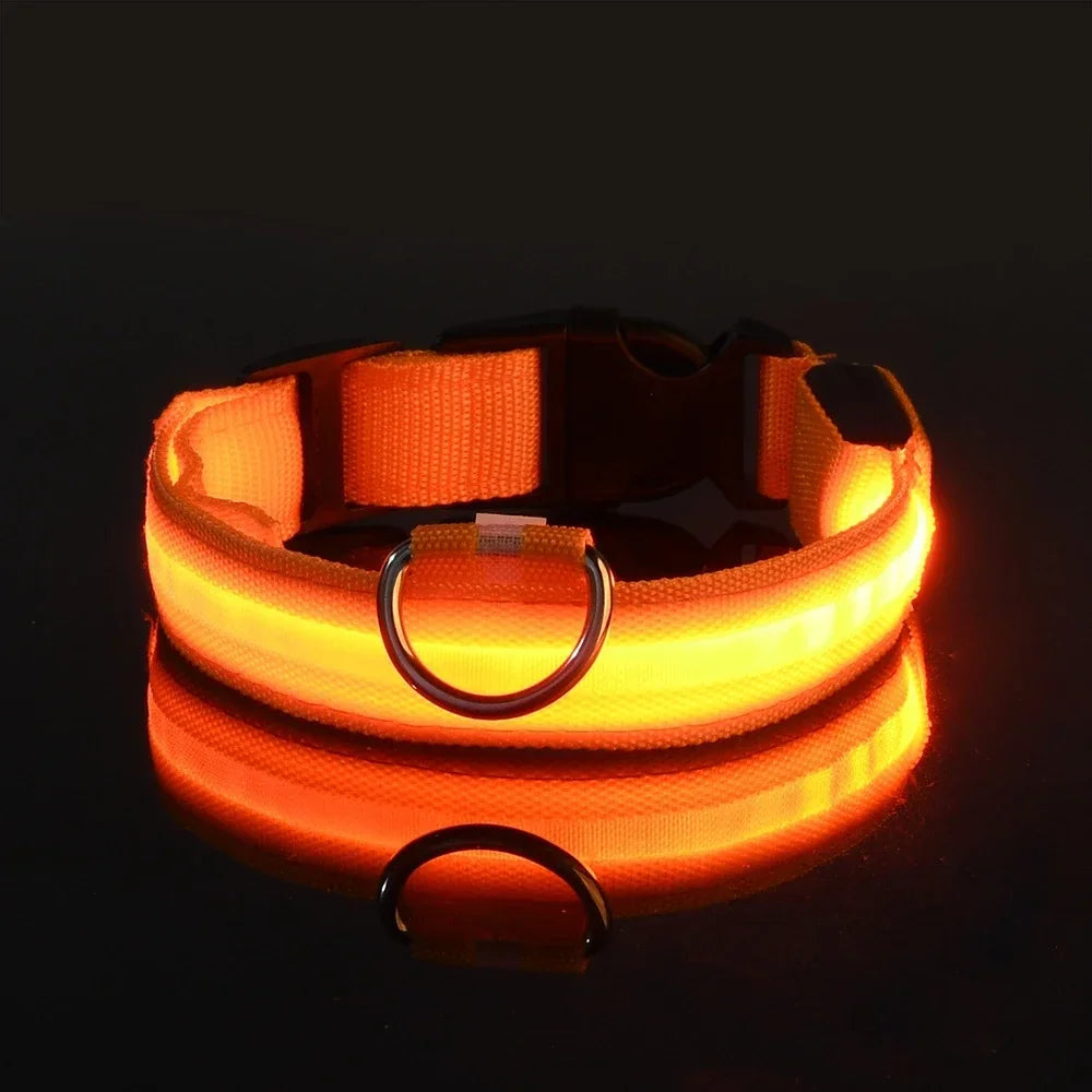 Night Safety LED Glow Pet Collar