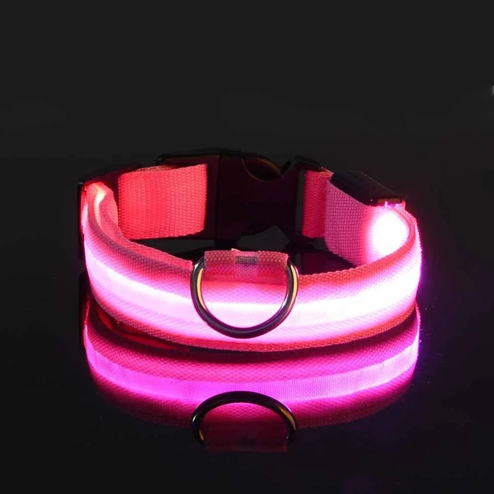 Night Safety LED Glow Pet Collar