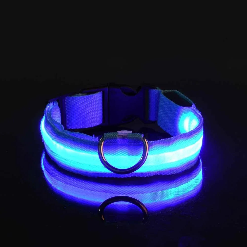 Night Safety LED Glow Pet Collar