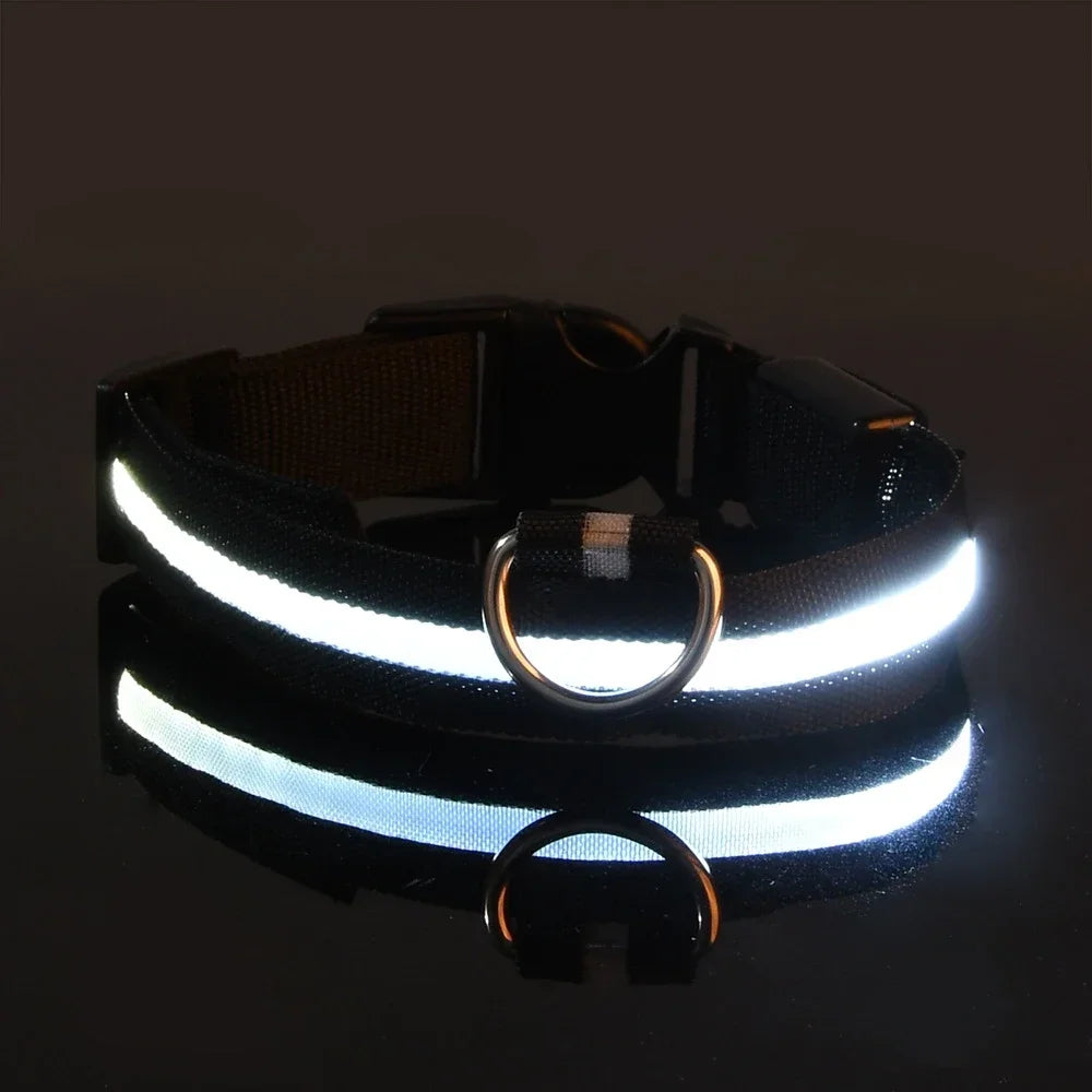 Night Safety LED Glow Pet Collar