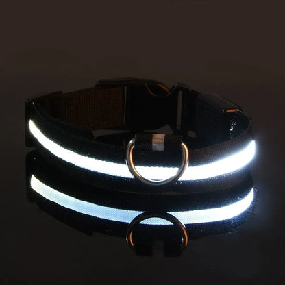 Night Safety LED Glow Pet Collar