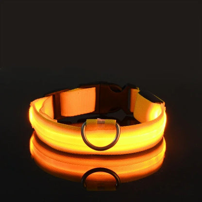 Night Safety LED Glow Pet Collar