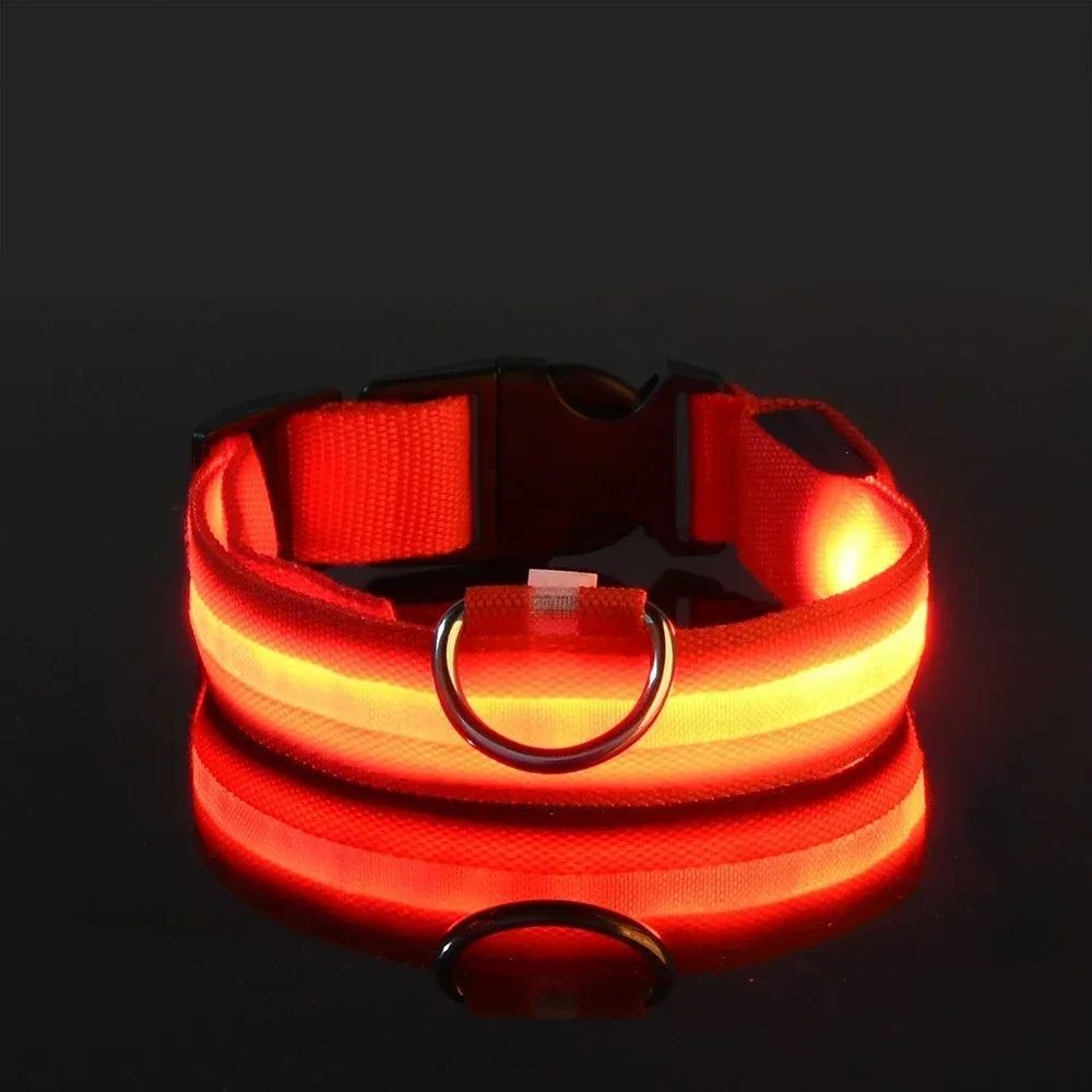 Night Safety LED Glow Pet Collar