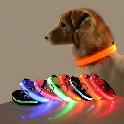 Night Safety LED Glow Pet Collar