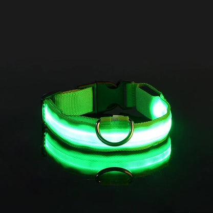 Night Safety LED Glow Pet Collar