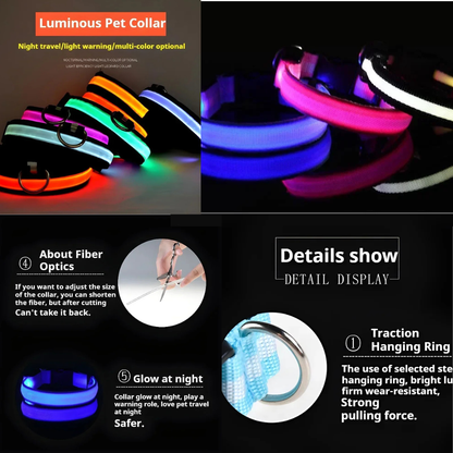 Night Safety LED Glow Pet Collar